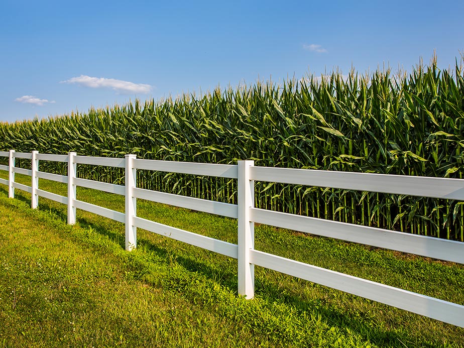 Aluminum fences in North Carolina and South Carolina