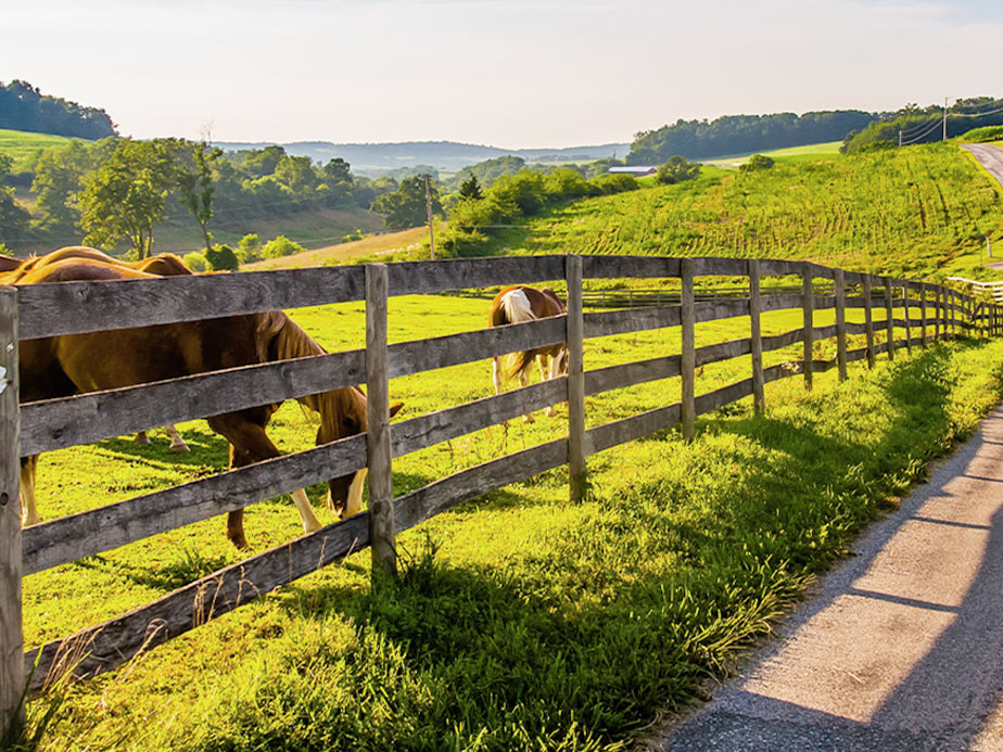 Aluminum fences in North Carolina and South Carolina