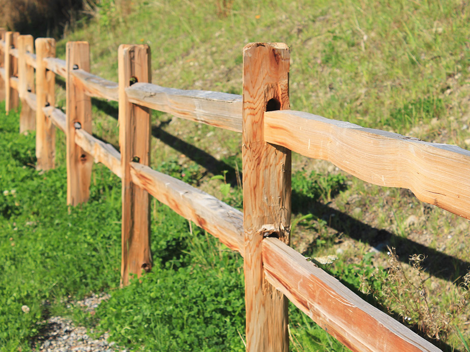 Farm Fences in North Carolina and South Carolina