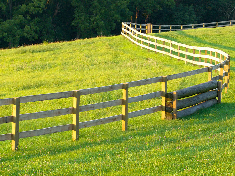 Farm Fence Contractor - Winston-Salem